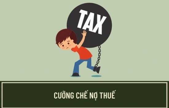 Lào Cai: Cưỡng chế thuế 4 công ty trên địa bàn