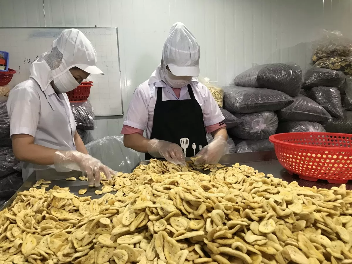 xuất khẩu rau quả chế biến đạt gần 1,1 tỷ USD, tăng 12% so với cùng kỳ năm trước.