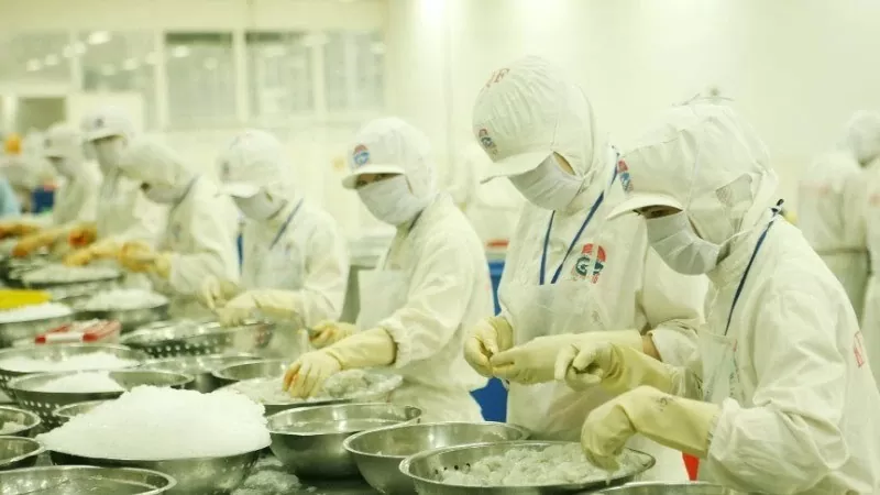 Nông sản Việt: Đón đầu cơ hội xuất khẩu sang các thị trường chủ lực