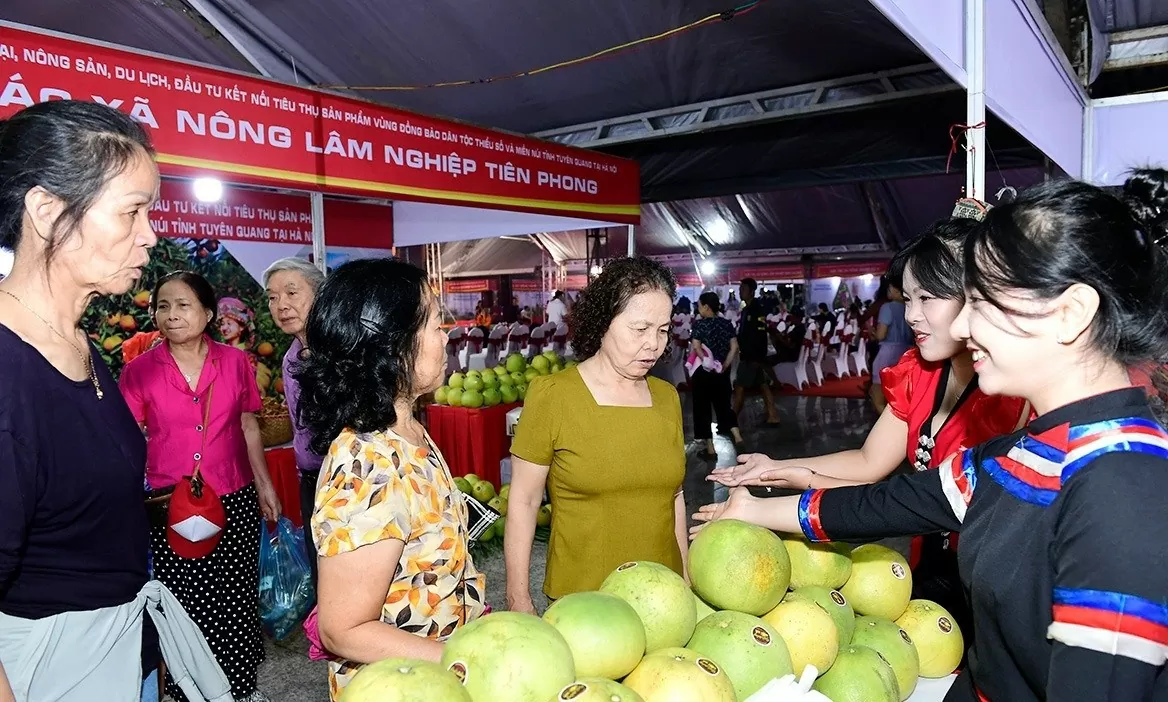 Tuyên Quang: Xúc tiến thương mại, tạo đầu ra bền vững cho sản phẩm thế mạnh