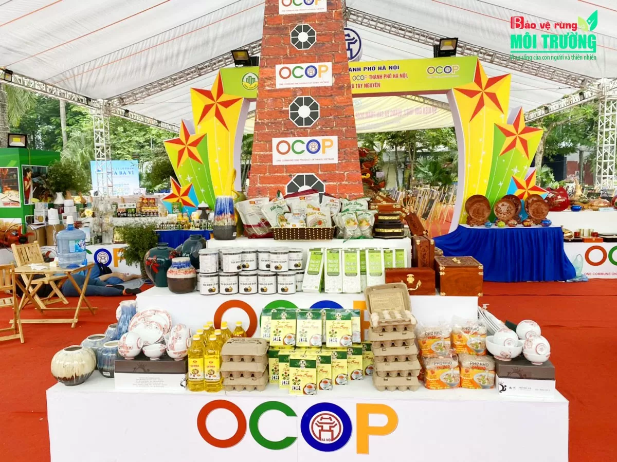 Hoạt động xúc tiến thương mại nhằm giúp các chủ thể giới thiệu, quảng bá và đẩy mạnh tiêu thụ sản phẩm OCOP