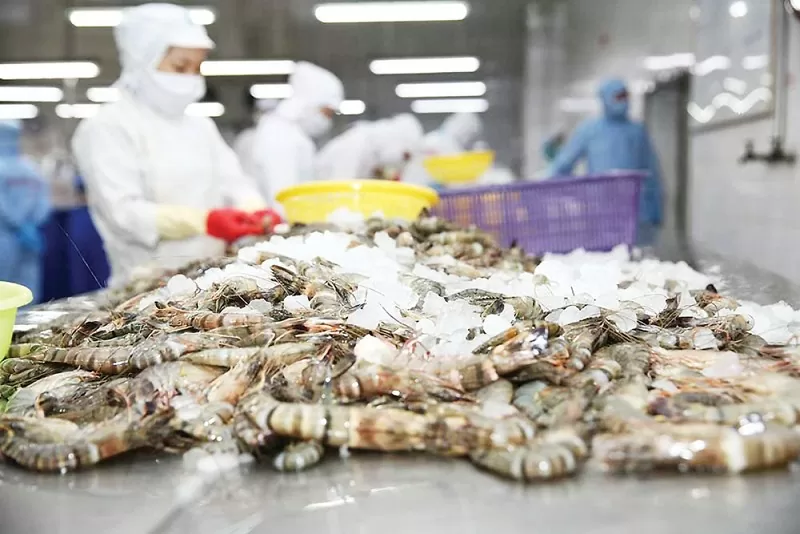 Tôm là sản phẩm xuất khẩu trụ cột của ngành thủy sản
