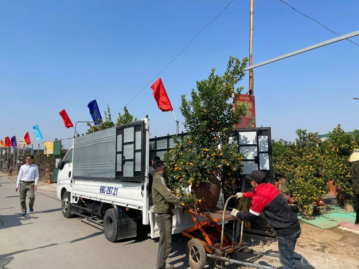 Thủ phủ quất 'hồi sinh', rộn ràng xuống phố đón Tết