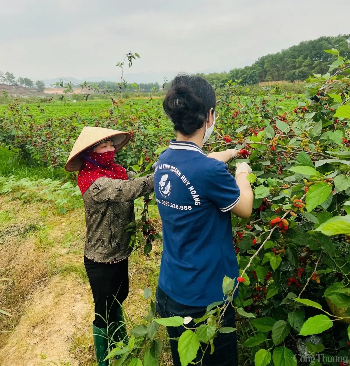 Quảng Ninh: Hợp tác xã Huy Hoàng có 9 sản phẩm OCOP