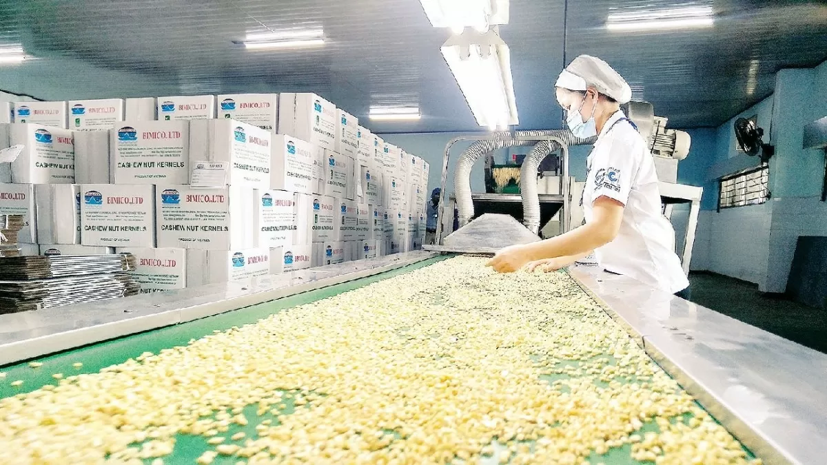 Việt Nam là nguồn cung điều chế biến lớn nhất cho Mỹ