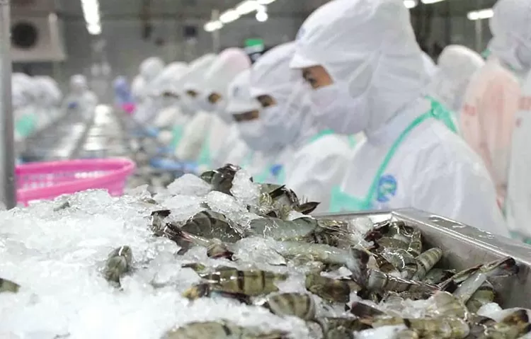 Năm 2025, xuất khẩu thủy sản Việt Nam được kỳ vọng sẽ tiếp tục đà tăng trưởng tích cực. 