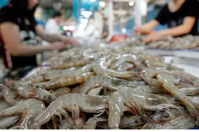 Việc tận dụng hiệu quả các FTA là chìa khóa quan trọng để ngành tôm Việt Nam vươn tới những tầm cao mới. 