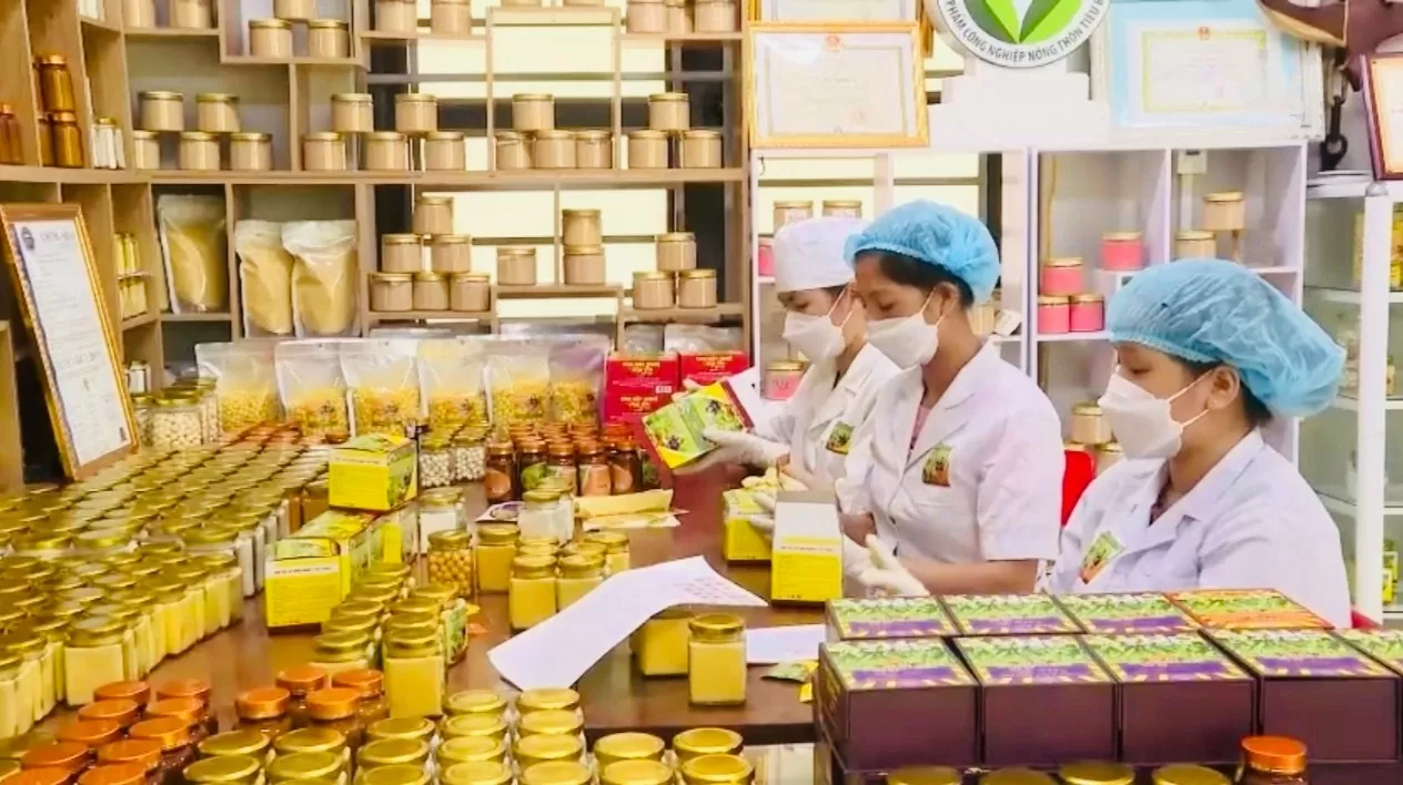 Đẩy mạnh liên kết sản xuất, tiêu thụ sản phẩm miền núi