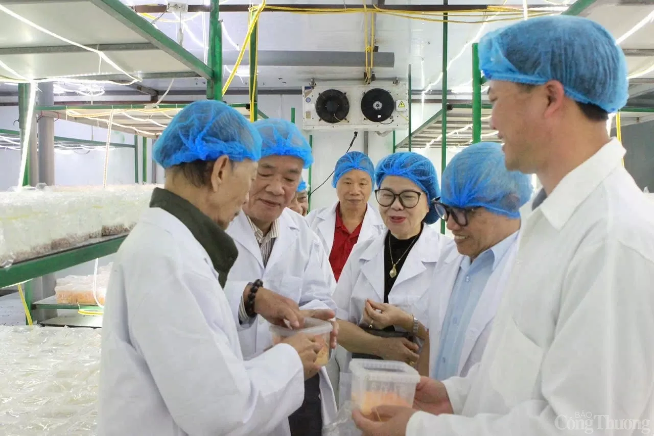 Xúc tiến thương mại, tạo 'cú huých' cho sản phẩm OCOP