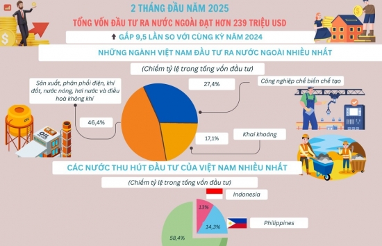 Đầu tư của Việt Nam ra nước ngoài tăng gấp 9,5 lần