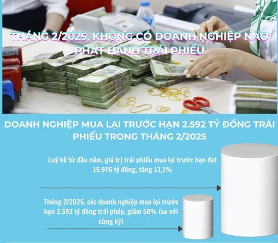 Infographic | Tháng 2/2025, không có doanh nghiệp nào phát hành trái phiếu