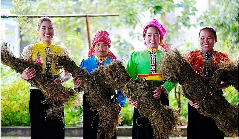 Chuỗi liên kết sản xuất sợi gai: Chìa khóa mở lối thoát nghèo cho đồng bào dân tộc Sơn La