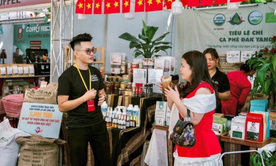 Khát khao đưa robusta đặc sản Gia Lai vươn tầm thế giới