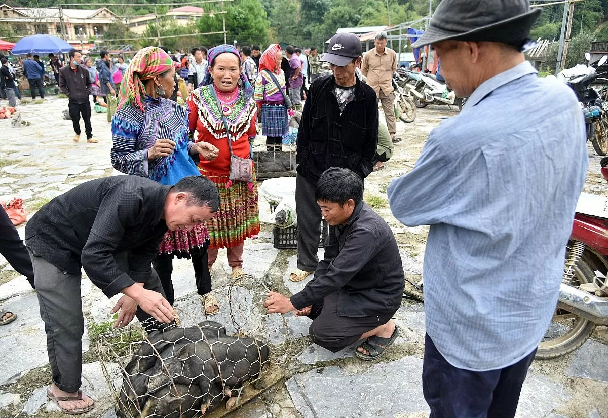 Tháo nút thắt chính sách, giải phóng ‘sức sống’ cho chợ miền núi