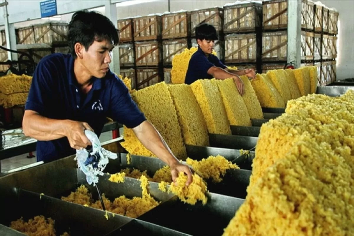 giá xuất khẩu cao su từ đầu năm đến nay đạt bình quân 1.931 USD/tấn, tăng 30,7% so với cùng kỳ năm 2024.