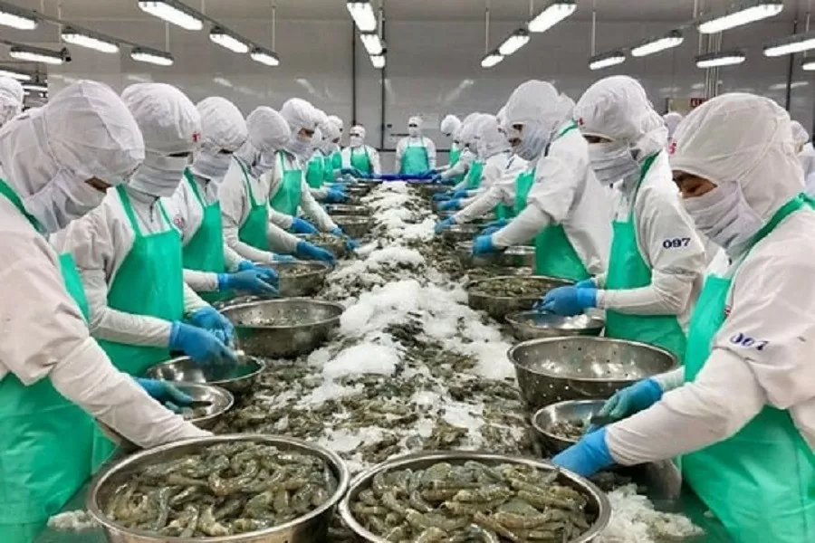 Xuất khẩu thủy sản lập đỉnh, tôm dẫn đầu đà tăng trưởng