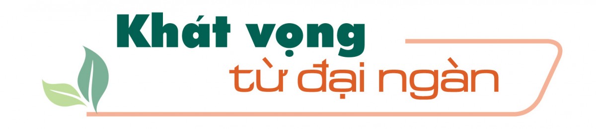 Longform | ‘Vàng xanh’ của rừng thành sinh kế bền vững cho đồng bào dân tộc Longform | ‘Vàng xanh’ của rừng thành sinh kế bền vững cho đồng bào dân tộc