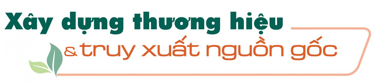 Longform | ‘Vàng xanh’ của rừng thành sinh kế bền vững cho đồng bào dân tộc Longform | ‘Vàng xanh’ của rừng thành sinh kế bền vững cho đồng bào dân tộc