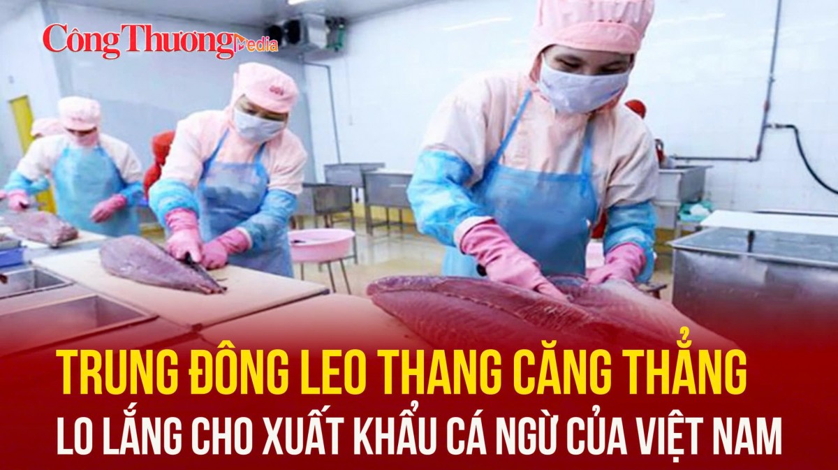 Trung Đông leo thang căng thẳng, lo lắng cho xuất khẩu cá ngừ của Việt Nam