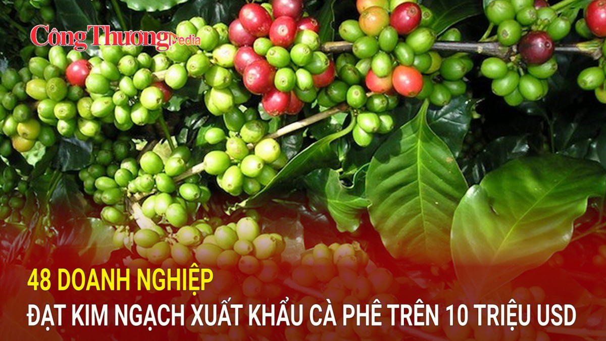 48 doanh nghiệp đạt kim ngạch xuất khẩu cà phê trên 10 triệu USD