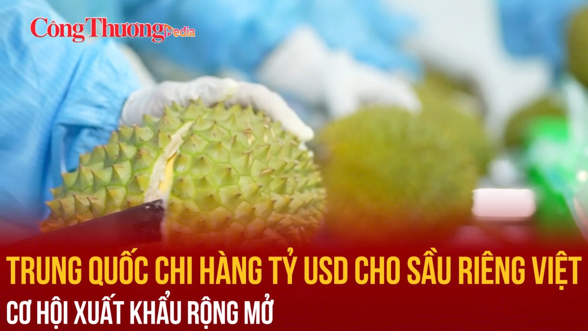 Trung Quốc chi hàng tỷ USD cho sầu riêng Việt, cơ hội xuất khẩu rộng mở