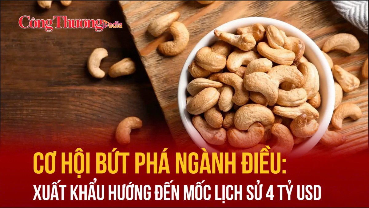 Cơ hội bứt phá ngành điều: Xuất khẩu hướng đến mốc lịch sử 4 tỷ USD