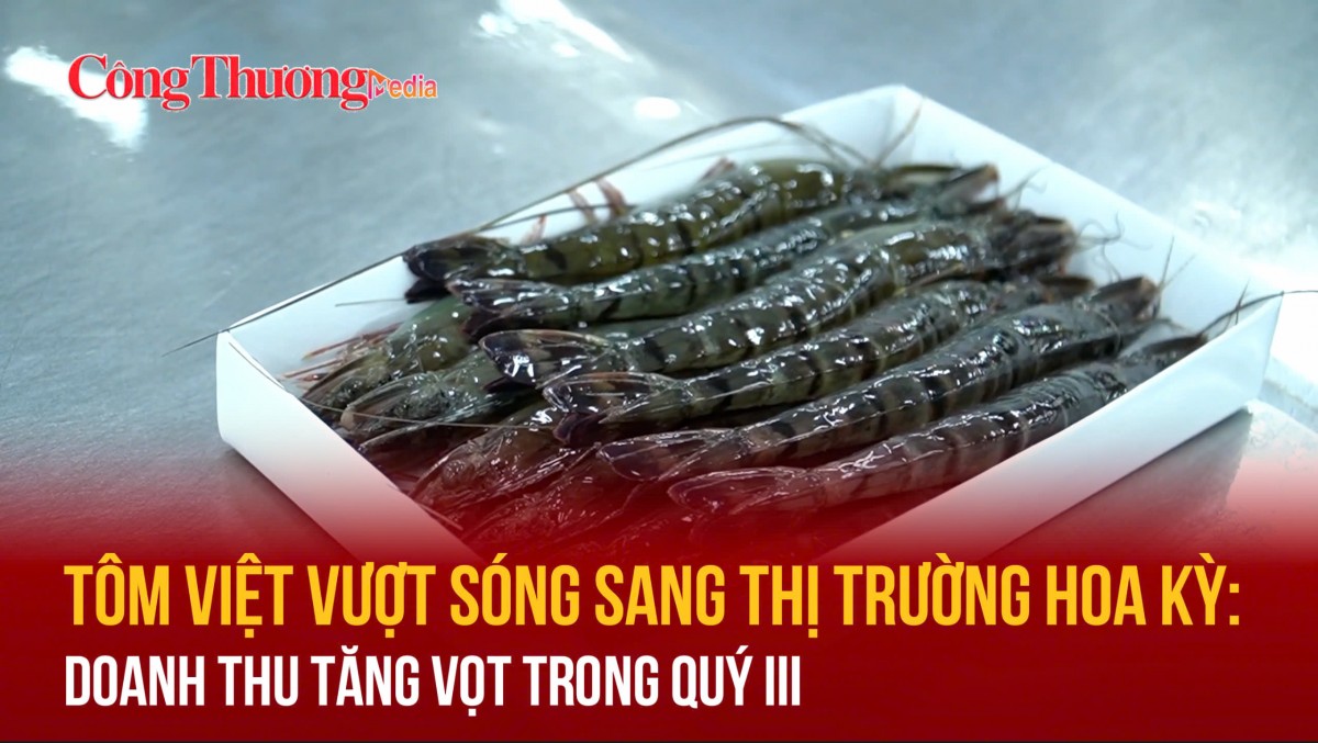 Tôm Việt vượt sóng sang thị trường Hoa Kỳ: Doanh thu tăng vọt trong quý III