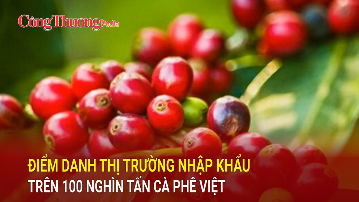 Điểm danh thị trường nhập khẩu trên 100 nghìn tấn cà phê Việt