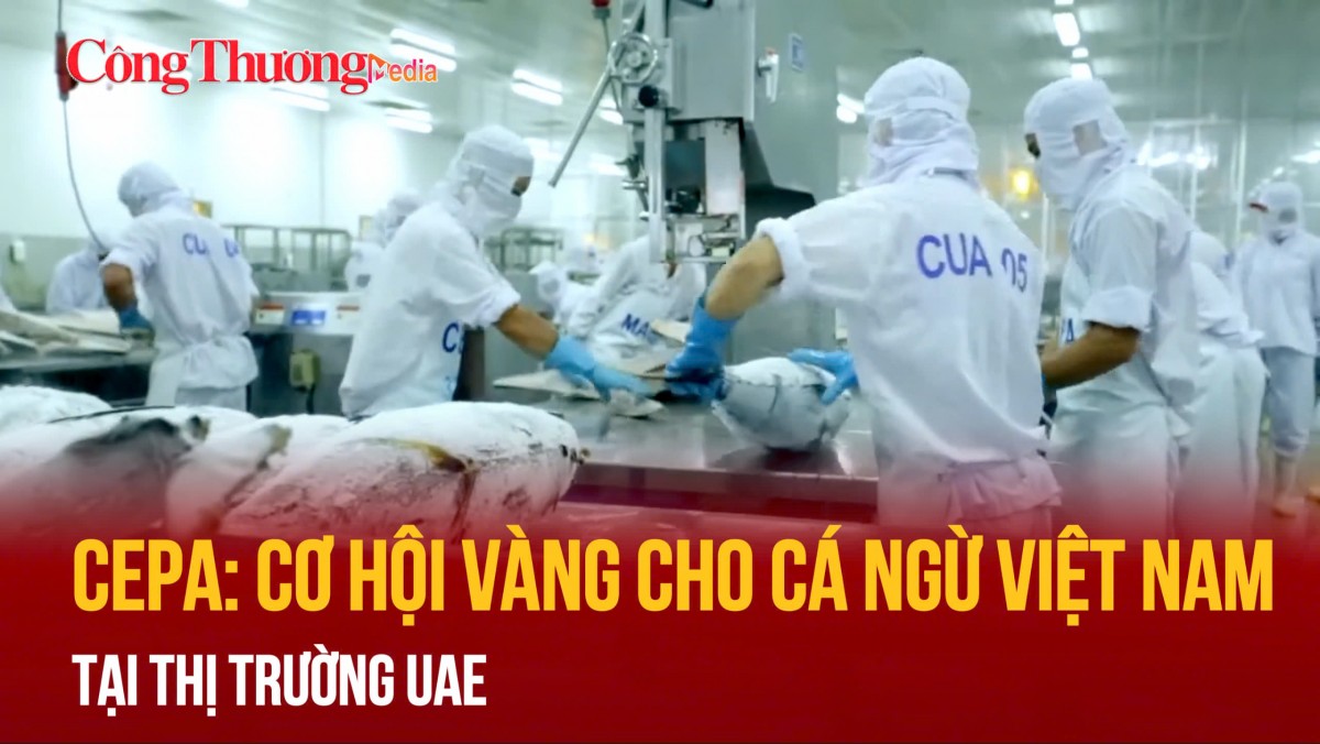 CEPA: Cơ hội vàng cho cá ngừ Việt Nam tại thị trường UAE