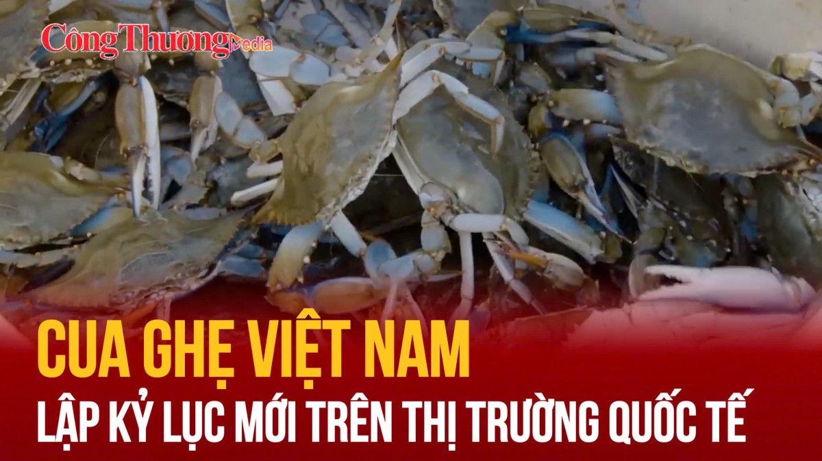 Cua ghẹ Việt Nam lập kỷ lục mới trên thị trường quốc tế