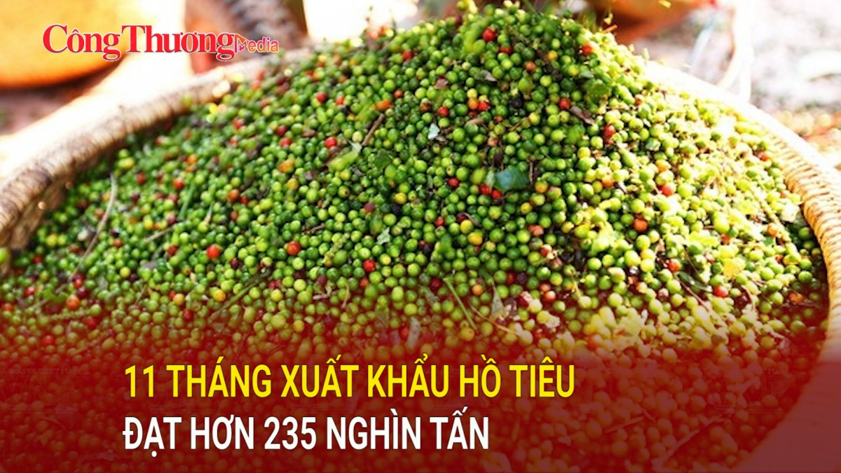 11 tháng xuất khẩu hồ tiêu đạt hơn 235 nghìn tấn