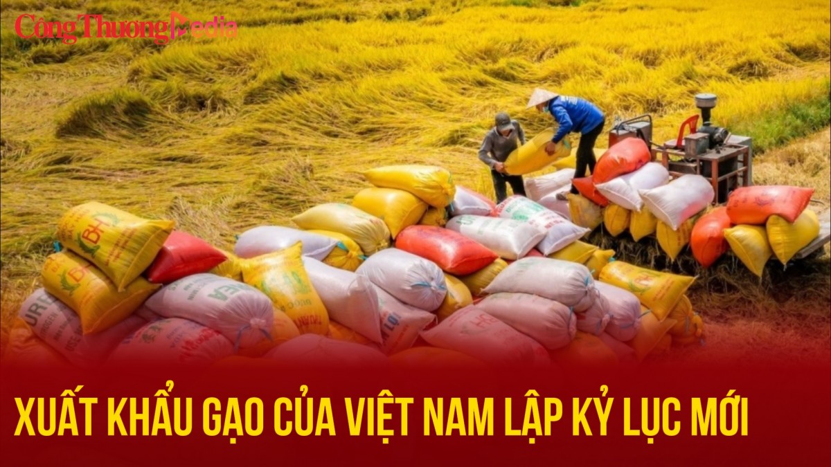 Xuất khẩu gạo của Việt Nam lập kỷ lục mới