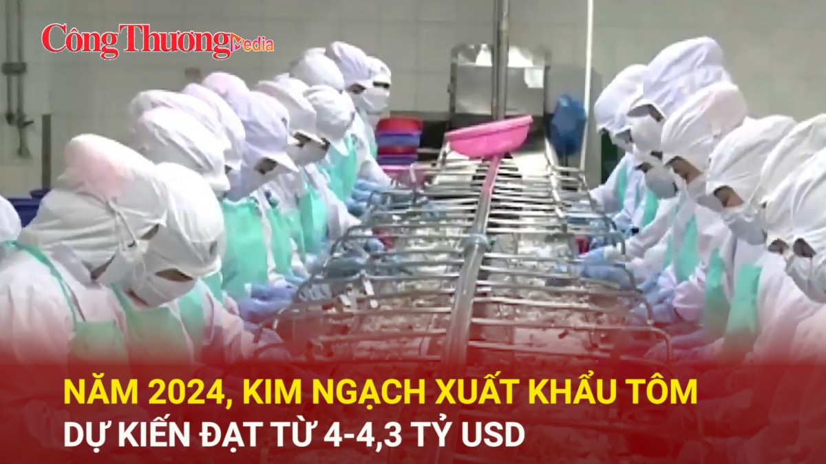 Năm 2024, kim ngạch xuất khẩu tôm dự kiến đạt từ 4 - 4,3 tỷ USD