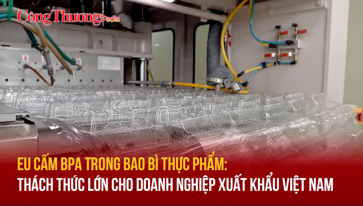 EU cấm BPA trong bao bì thực phẩm: Thách thức lớn cho doanh nghiệp xuất khẩu Việt Nam