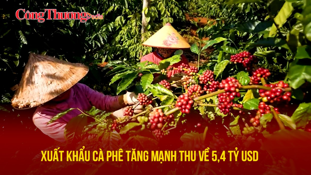 Xuất khẩu cà phê tăng mạnh, thu về 5,4 tỷ USD