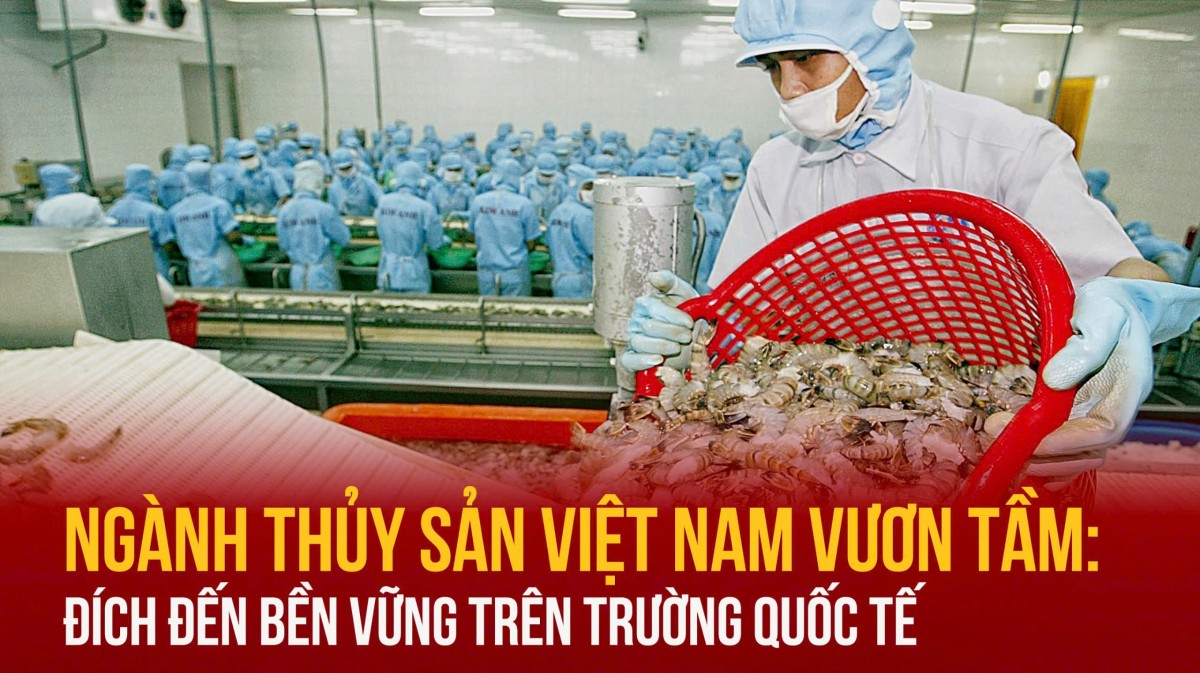 Ngành thủy sản Việt Nam vươn tầm: Đích đến bền vững trên trường quốc tế