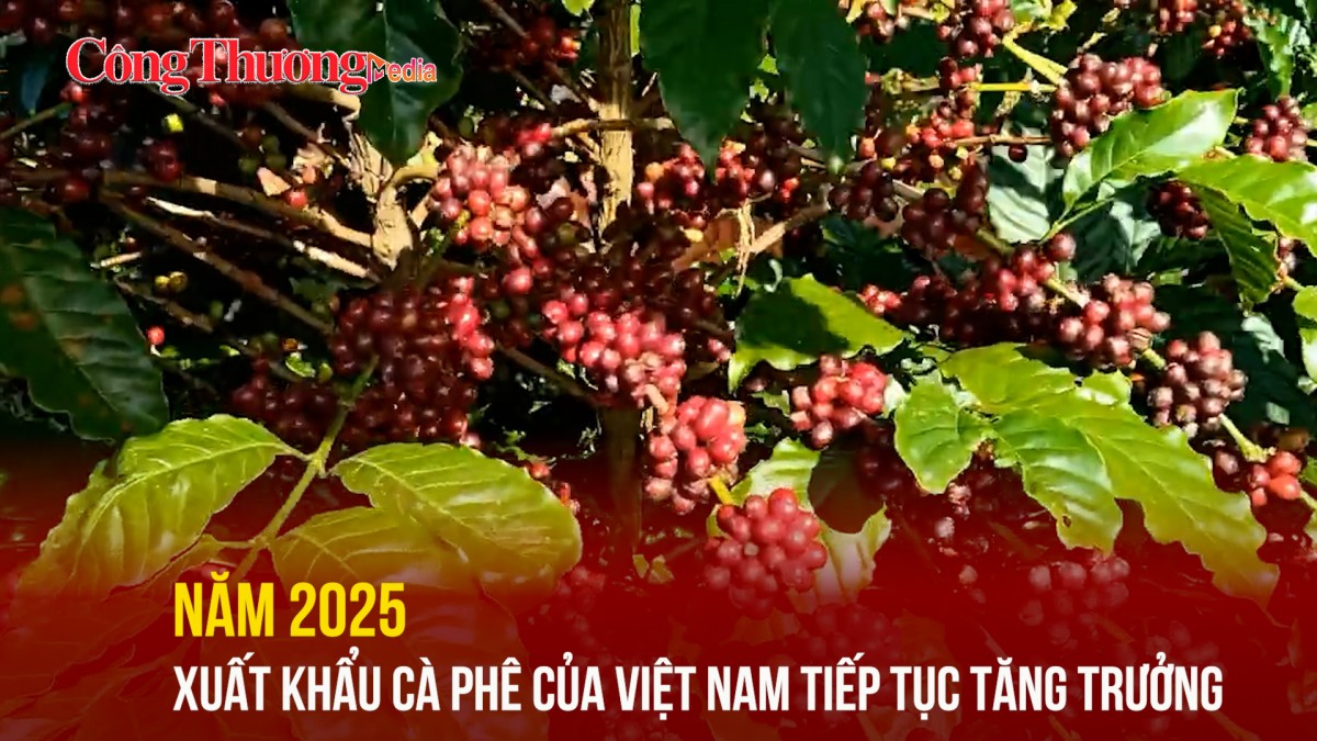 Năm 2025, xuất khẩu cà phê của Việt Nam tiếp tục tăng trưởng