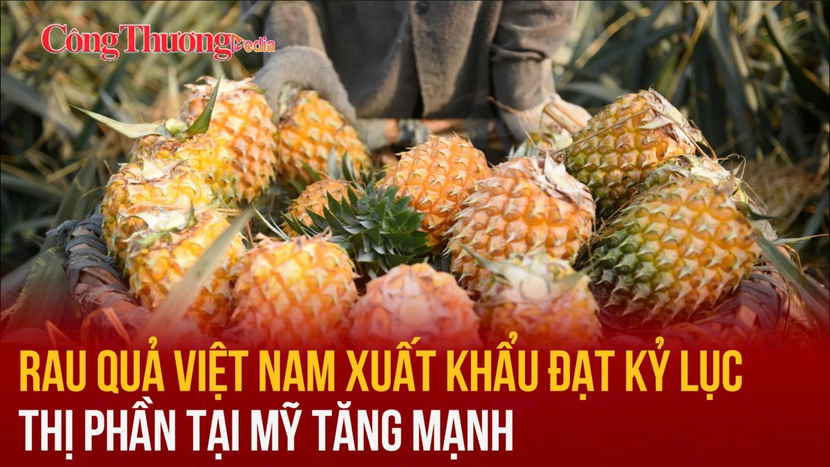 Rau quả Việt Nam xuất khẩu đạt kỷ lục, thị phần tại Mỹ tăng mạnh