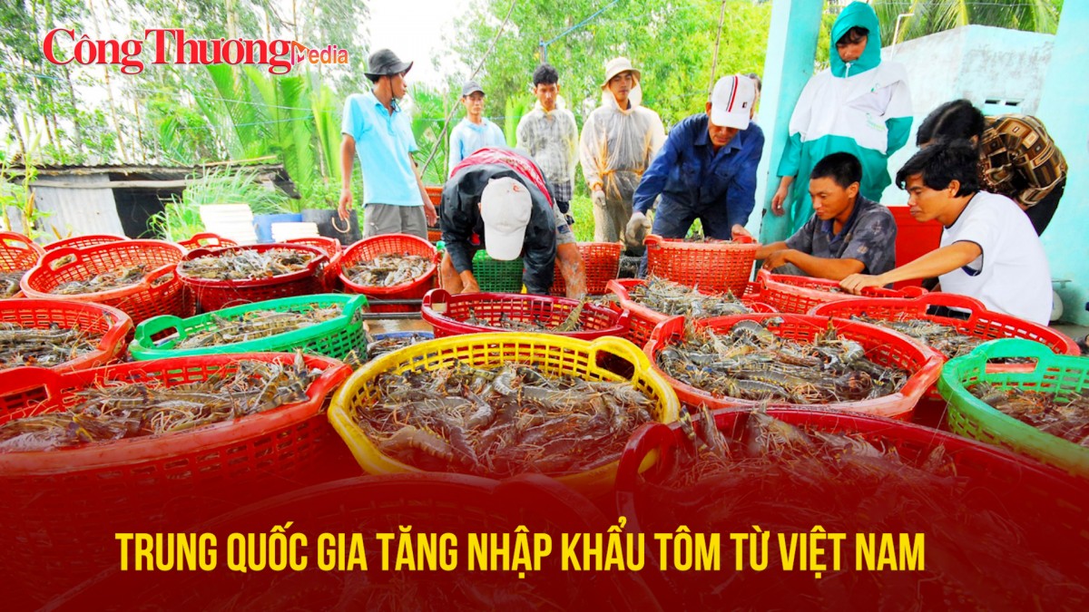 Trung Quốc gia tăng nhập khẩu tôm từ Việt Nam