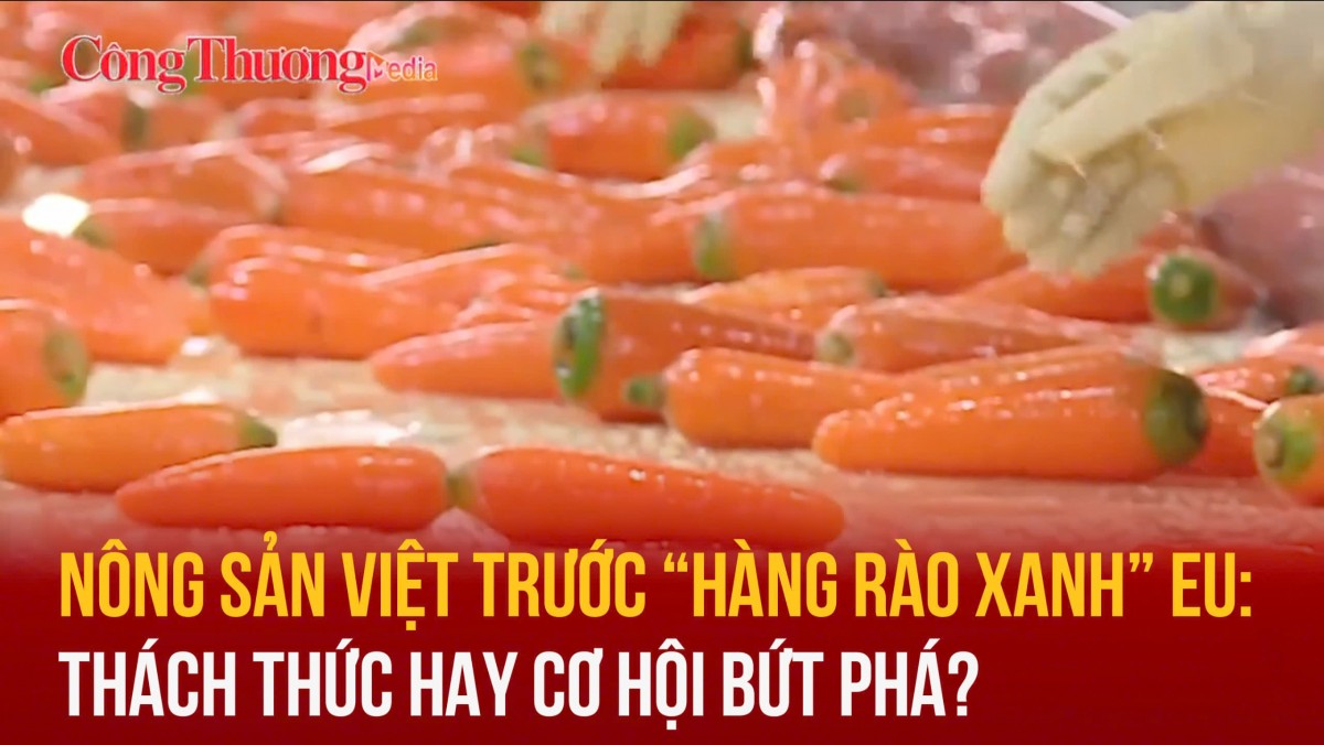 Nông sản Việt trước “hàng rào xanh” EU: Thách thức hay cơ hội bứt phá?