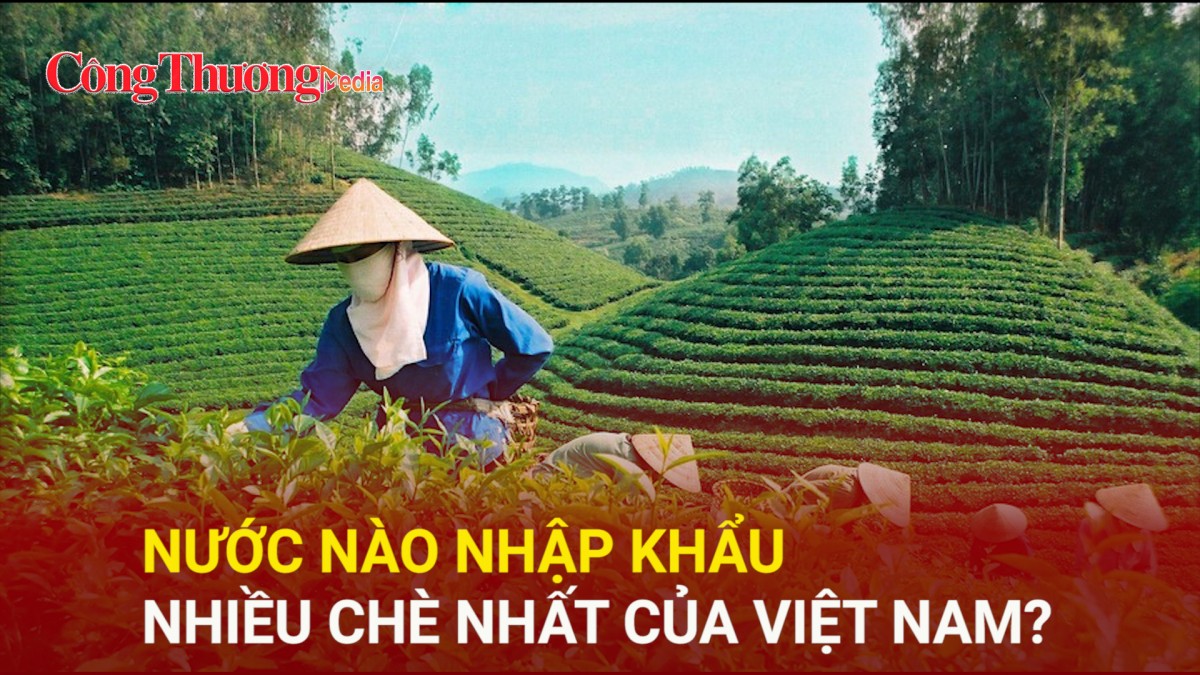 Nước nào nhập khẩu nhiều chè nhất của Việt Nam?