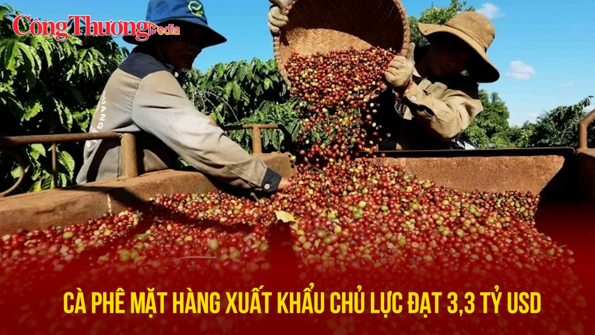 Cà phê mặt hàng xuất khẩu chủ lực đạt 3,3 tỷ USD